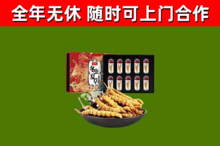 肇庆市烟酒回收冬虫夏草礼盒.jpg